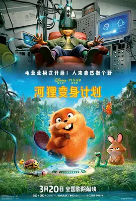 久久九九视频