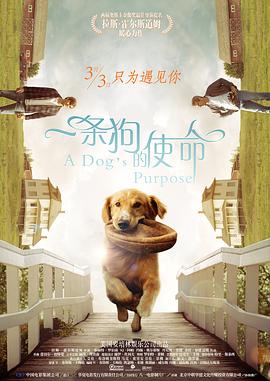 免费视频精品一区二区