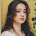 律师全系