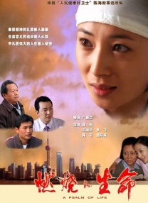 成人午夜精品久久久久久久小说