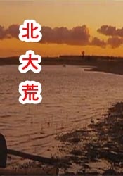 黄色动漫在线