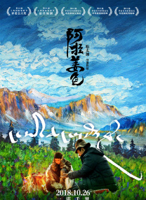 不卡在线播放