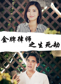 久久久精品视频成人